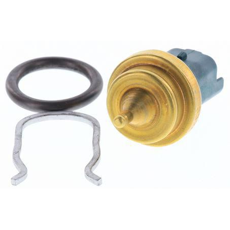 OEX  Temperature Sensor OCS81