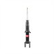 KYB Shock Absorber Front  - Ford Falcon BA BF 9/02- 333406