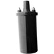 Goss RAE IGNITION COIL C174