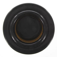 Proselect Air Filter PSA541 A1541