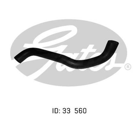 Gates Radiator Hose Lower 05-0881