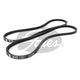 Gates Drive Belt 13A1000M