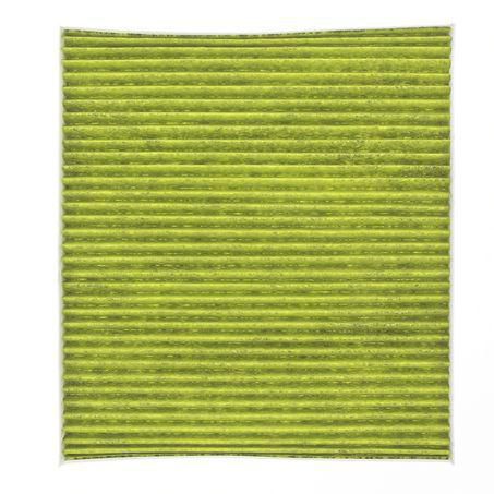 Repco Cabin Air Filter - Anti-Viral RCF613A