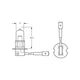 Hella H3 Globe 12V H3 Pk22S Long Life 55W YC1255LL