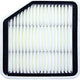 Repco Air Filter RAF349