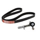 Gates Micro-V Multi Accessory Drive Belt Kit AK016PK1220