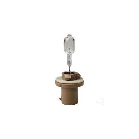 Hella 885 Globe 12V 50W Standard - 1 Pce CF1250885