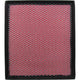 Repco Air Filter RAF201
