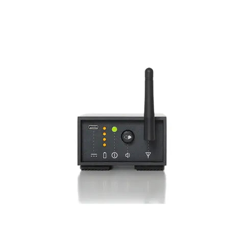 SKAA Pro Audio Receiver â€“ Streetheart, 6.3mm Balanced Connector