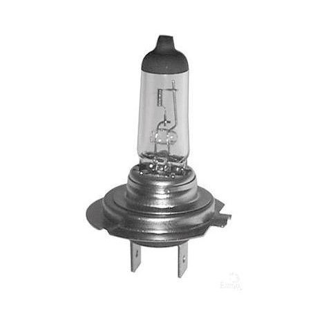 OEX H7 Globe 12V 55W All Season - 1 Pce GLX16077