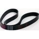 Repco Multi Ribbed Drive Belt 6 Rib x 1055mm 6PK1055RB