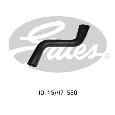 Gates Radiator Hose Lower 05-0369