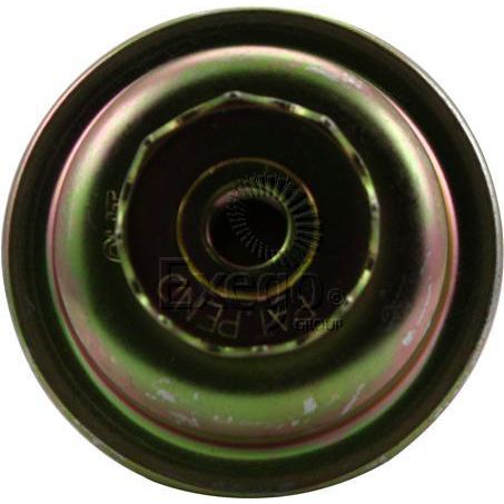 Repco Fuel Filter RFF-81