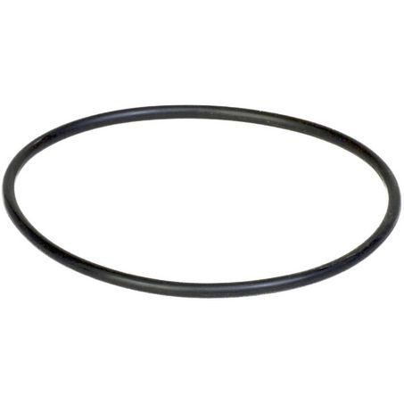 Donaldson O Ring P160137