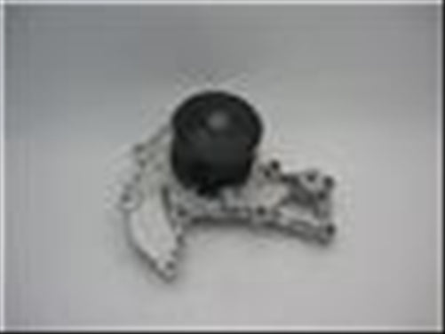 PROSELECT WATER PUMP ISUZU BIGHORN D/MAX 6VD1 6VE1