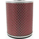 Repco Air Filter RAF130