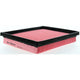 Repco Air Filter RAF365