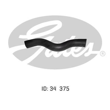 Gates Radiator Hose Lower 05-0395