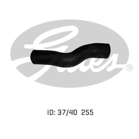 Gates Radiator Hose Lower 05-0890