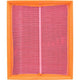 Repco Air Filter RAF223