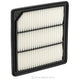 RYCO Air Filter A1933