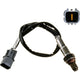 OEX  Oxygen Sensor OOS5465