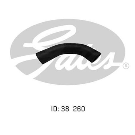 Gates Radiator Hose Lower 05-0254