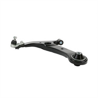 Nolathane FRONT LOWER CONTROL ARM 45930L