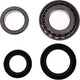 Repco Wheel Bearing Kit WBK5427