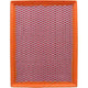 Repco Air Filter RAF242