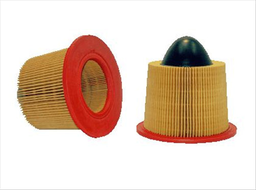 WIX AIR FILTER - FORD (95-14) 46418