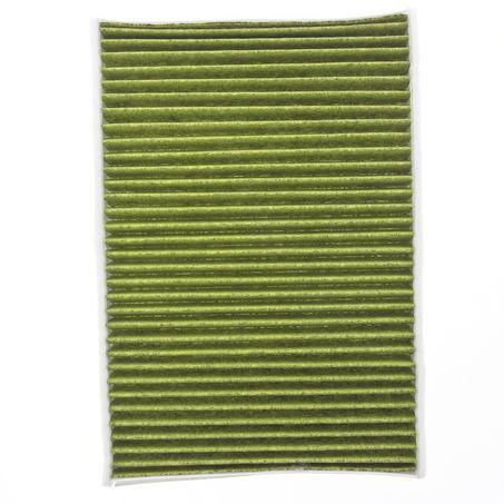 Repco Cabin Air Filter - Anti-Viral RCF503A