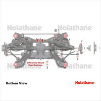 Nolathane REAR DIFFERENTIAL MOUNT REAR BUSHING KIT 49227