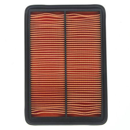 Repco Air Filter RAF625