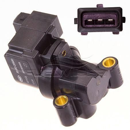 OEX  Idle Air Controller  OES   Europe OIA027