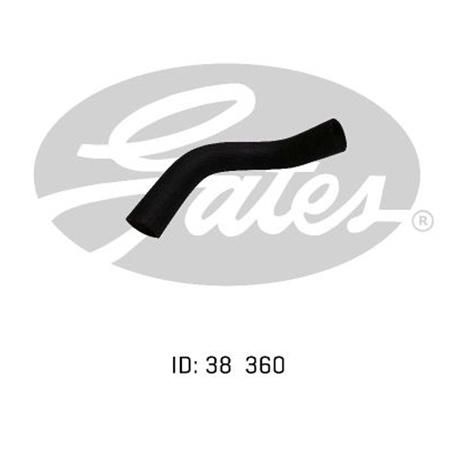 Gates Radiator Hose Lower 05-0075