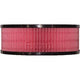 Repco Air Filter RAF11