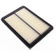 Repco Air Filter RAF460
