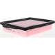 Repco Air Filter RAF41