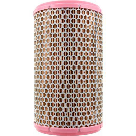 RYCO AIR FILTER - ALFA ROMEO/LANCIA A1606
