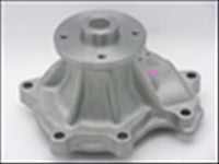 PROSELECT WATER PUMP NISSAN SAFARI TB42E