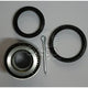 Kelpro Wheel Bearing Kit KWB2794