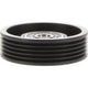 OEX Drive Belt Pulley - Ribbed 80mm OD