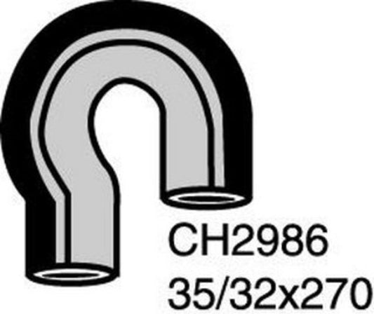 MACKAY BOTTOM HOSE AUDI