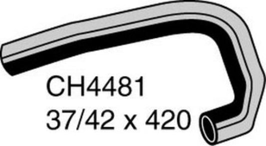 MACKAY BOTTOM HOSE AUDI