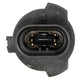 Narva HB3A P20d Globe 12V 60W 48020