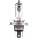 Hella H4 Headlight Bulb 12V P43T 38 100/90W XD12100/90