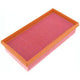 Repco Air Filter RAF416