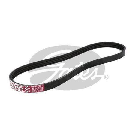 Gates F/Belt Rib K040295 4PK750