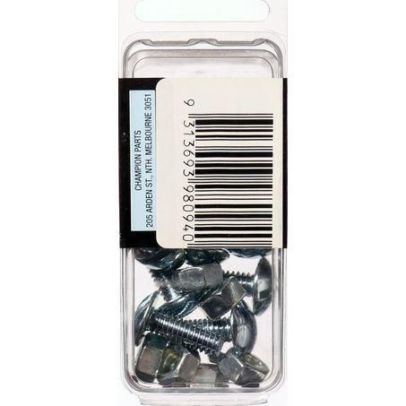CHAMPION AUTO PARTS Champion Roofing Nut & Bolt Pack 1/4in. x 3/4in. BH094